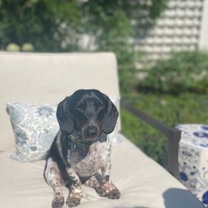 Meet your Posher, Mary